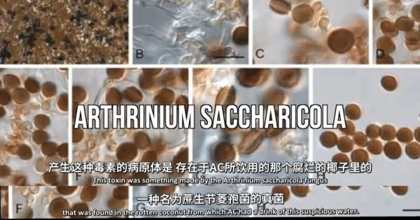 一口喝进ICU？这种情况千万别饮用！