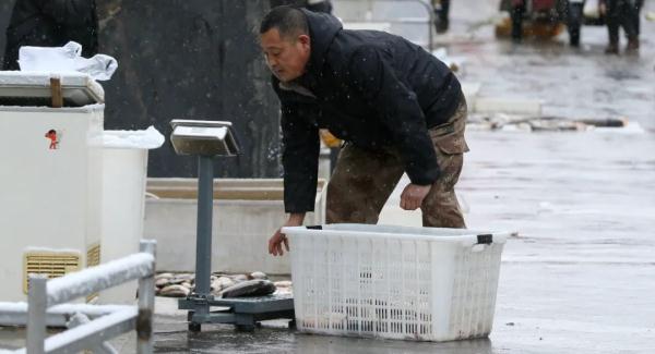 开江鱼上市！东极鱼市探寻春日第一鲜