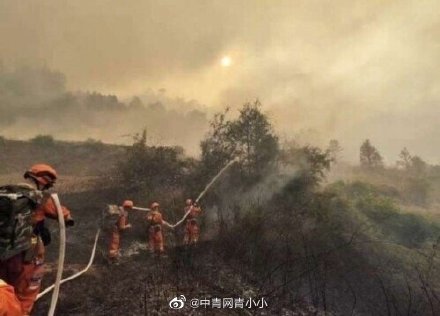 云南玉溪山火全部扑灭 火场顺利实现合围