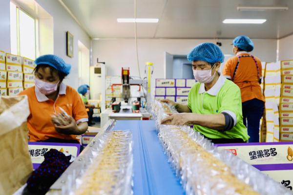 河北宁晋:“一村一品”宜业富民 河北宁晋:“一村一品”宜业富民