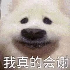 19岁学霸少年两次错失高考，律师都怒了！