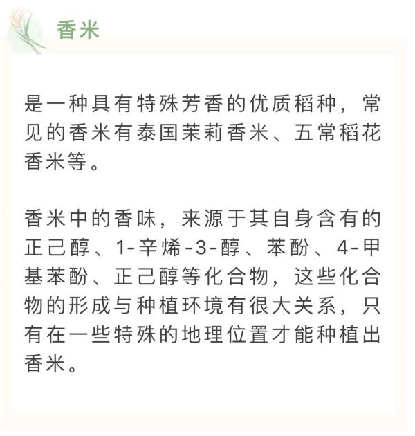 如何分辨“香米”和“香精大米”？监管部门教你这三招