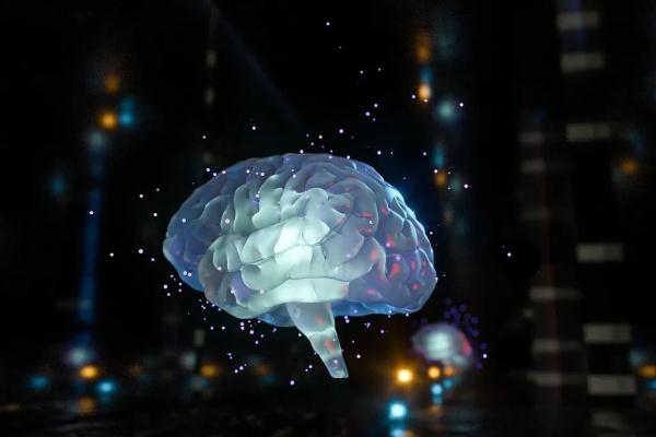 酒精进入人体的12小时，都发生了什么？