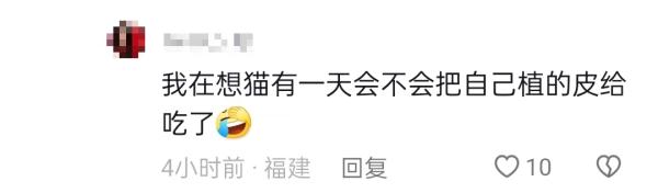 冲上热搜!女子为救助被剥皮的流浪猫,花2万给猫植鱼皮 冲上热搜!女子为救助被剥皮的流浪猫,花2万给猫植鱼皮