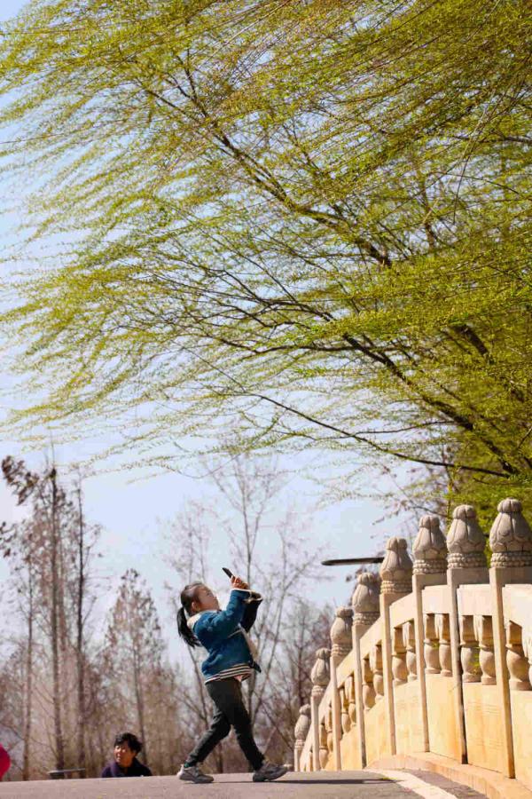 你见过春风的样子么？