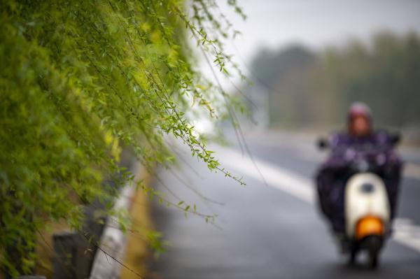 你见过春风的样子么？