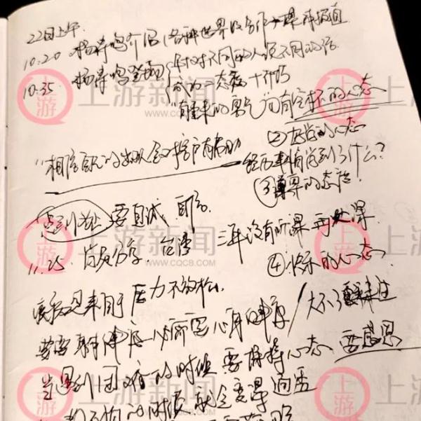 “大师”杨涛鸣，落网！