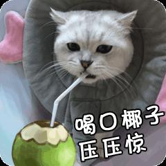 “喝了几口就进急诊”,这款饮料别乱喝! “喝了几口就进急诊”,这款饮料别乱喝!