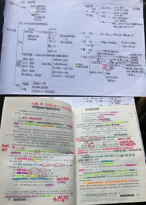 吉林番邦语大学：彭小桐，免膏火了!