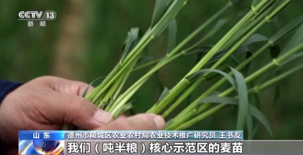 什么是“吨粮田”？如何筑牢吨粮田“耕”基？一文解读