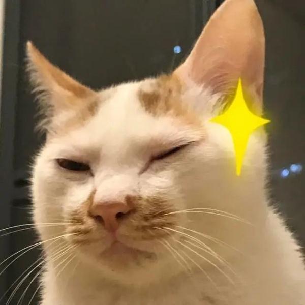 这些人都想“割韭菜”，最近的年轻人太难了