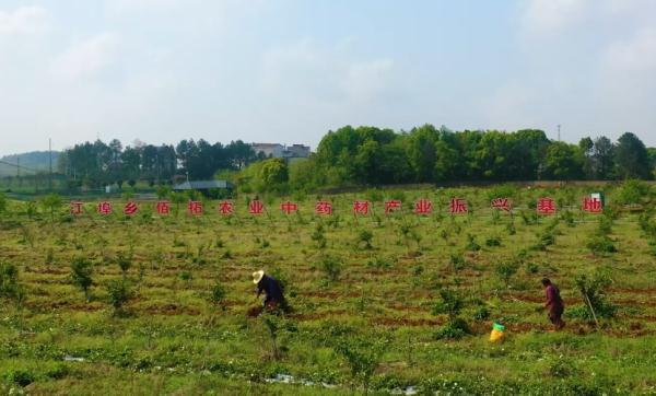 昔日的“电信诈骗村”，如何走上乡村振兴的正道？