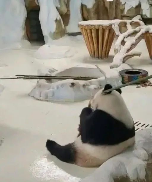 南京一动物园致歉，网友却吵起来了