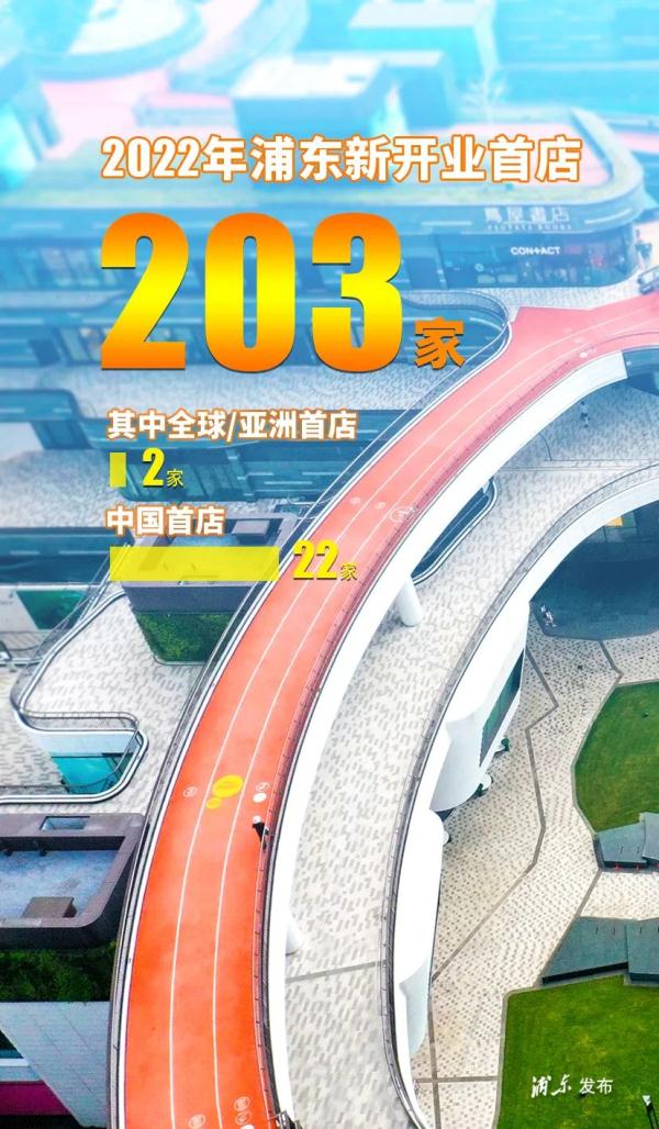 今天，浦东新区33岁啦！九张图带你感受TA的巨变