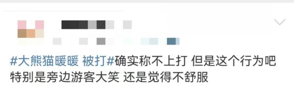 大熊猫被“打”了？园方通报：永不允许此人饲养大熊猫