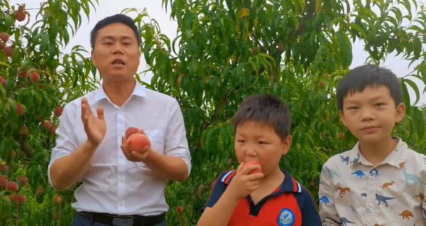 昔日的“电信诈骗村”，如何走上乡村振兴的正道？