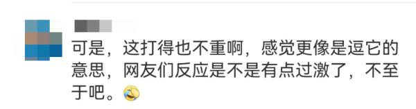 大熊猫被“打”了？园方通报：永不允许此人饲养大熊猫