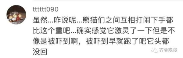 动物园:立即停止工作!网友们吵翻…… 动物园:立即停止工作!网友们吵翻……