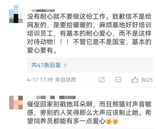 大熊猫被“打”了？园方通报：永不允许此人饲养大熊猫