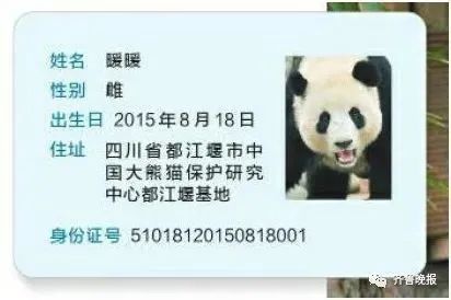 动物园:立即停止工作!网友们吵翻…… 动物园:立即停止工作!网友们吵翻……