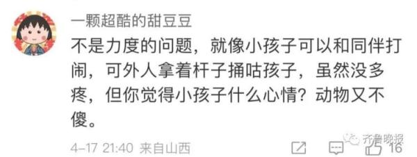 动物园:立即停止工作!网友们吵翻…… 动物园:立即停止工作!网友们吵翻……
