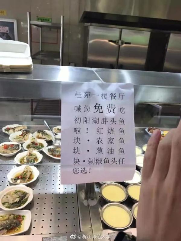学校湖里捞起3200公斤鱼,浙江一高校:全校师生免费吃!网友:微笑中透露着眼红 学校湖里捞起3200公斤鱼,浙江一高校:全校师生免费吃!网友:微笑中透露着眼红