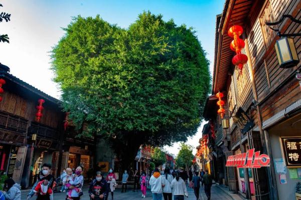 “对不起,我去不了福州了!”不少网友懵了:还没开始就结束了…… “对不起,我去不了福州了!”不少网友懵了:还没开始就结束了……