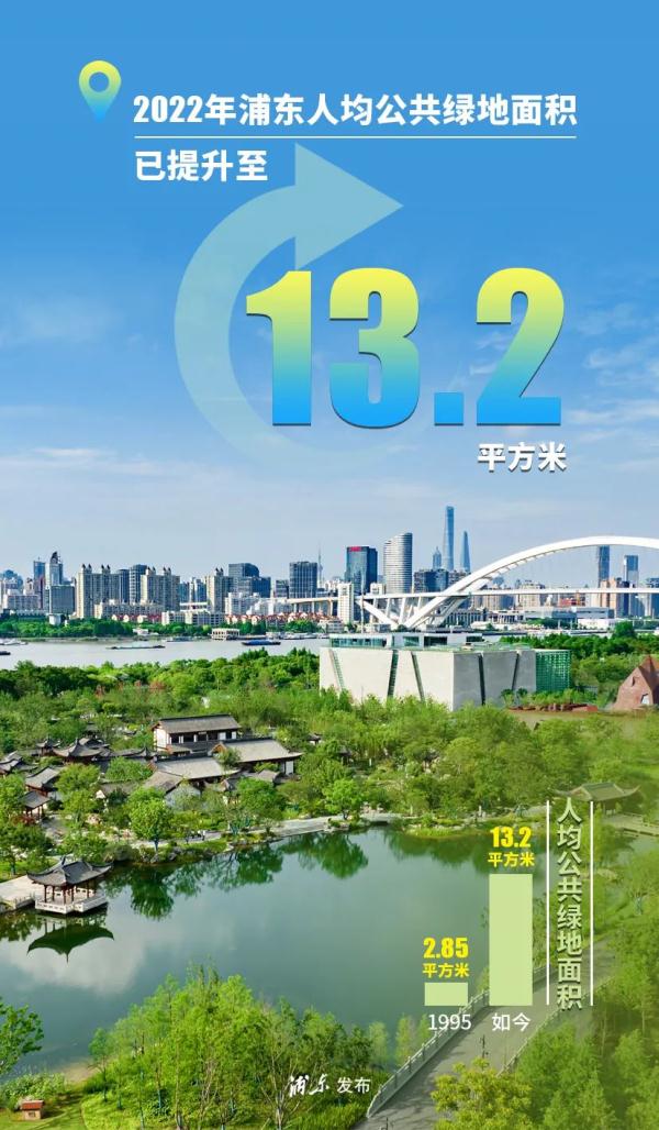 今天，浦东新区33岁啦！九张图带你感受TA的巨变