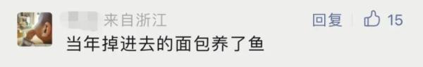 学校湖里捞起3200公斤鱼,浙江一高校:全校师生免费吃!网友:微笑中透露着眼红 学校湖里捞起3200公斤鱼,浙江一高校:全校师生免费吃!网友:微笑中透露着眼红