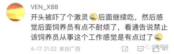 动物园:立即停止工作!网友们吵翻…… 动物园:立即停止工作!网友们吵翻……