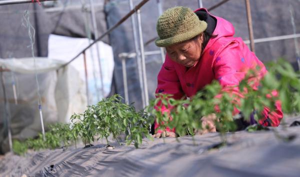 昔日的“电信诈骗村”，如何走上乡村振兴的正道？