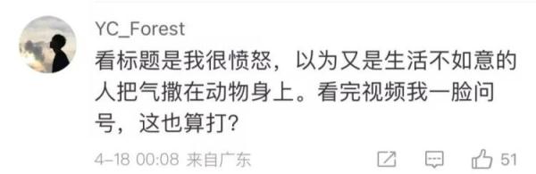 动物园:立即停止工作!网友们吵翻…… 动物园:立即停止工作!网友们吵翻……