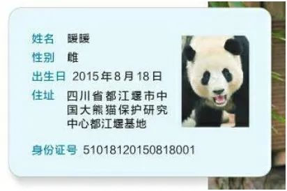 大熊猫被“打”了？园方通报：永不允许此人饲养大熊猫