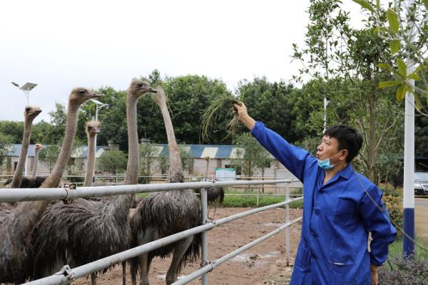 昔日的“电信诈骗村”，如何走上乡村振兴的正道？