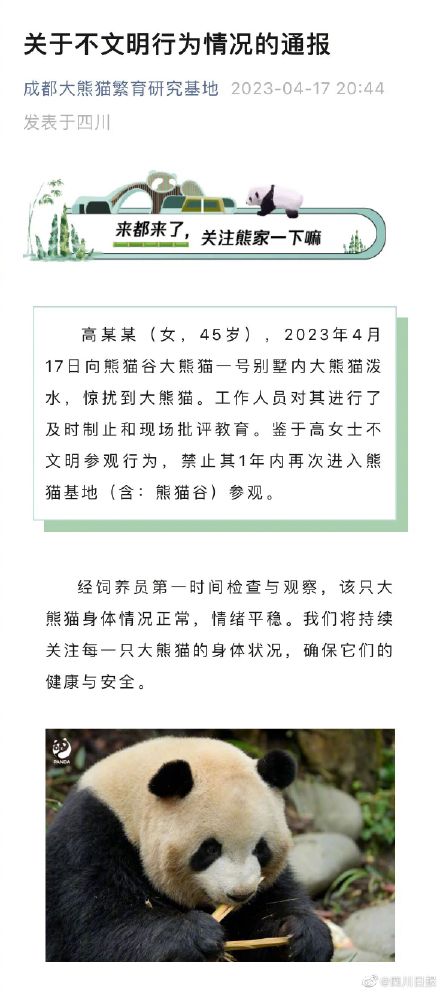 成都大熊猫基地发布首例禁止入园通报 成都大熊猫基地发布首例禁止入园通报