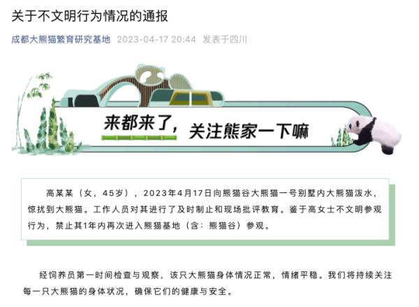 成都大熊猫基地通报：禁止她一年内进入！