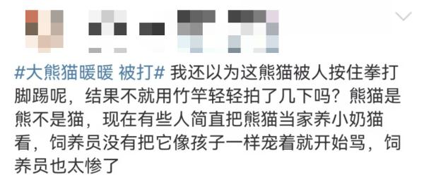 大熊猫被“打”了？园方通报：永不允许此人饲养大熊猫