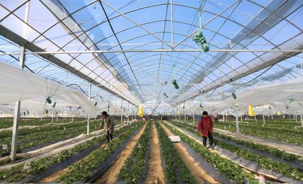 昔日的“电信诈骗村”，如何走上乡村振兴的正道？