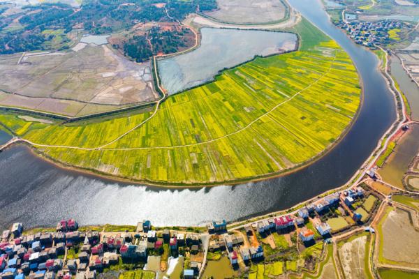 昔日的“电信诈骗村”，如何走上乡村振兴的正道？