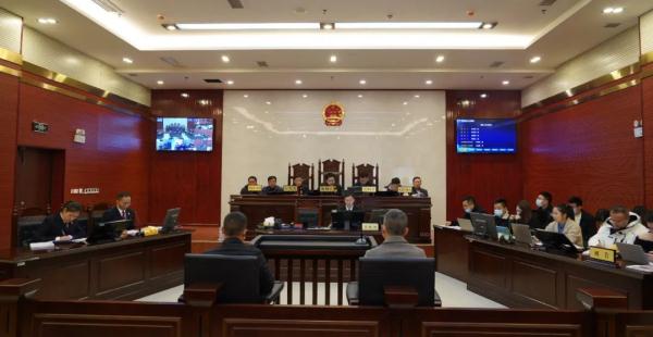 毁伤2600岁“古楠木王”，11人被判刑！