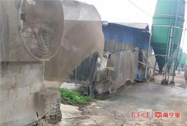 南宁一养猪场57头生猪一夜之间不知去向，监控录像还缺失......