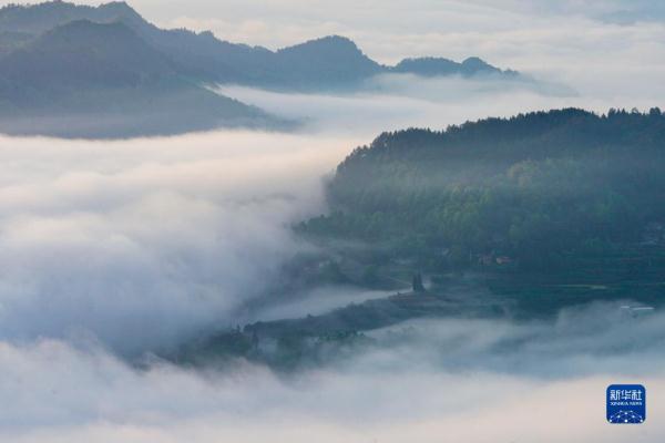重庆金佛山：云绕山峦春色美