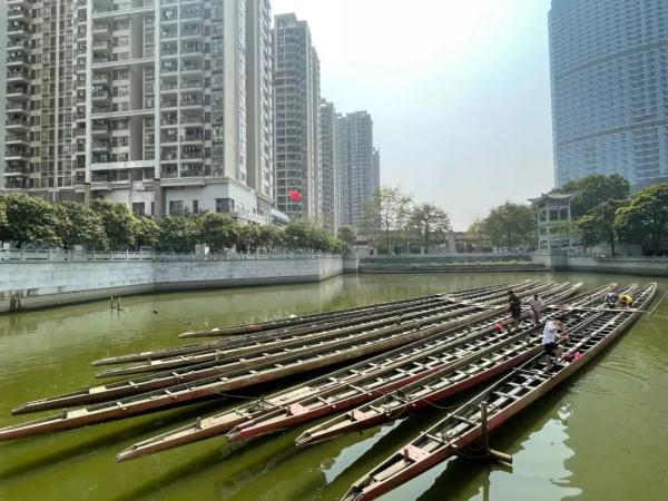 即将回归!广州各大龙舟队申请出战 即将回归!广州各大龙舟队申请出战