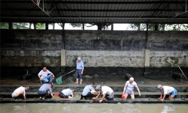 即将回归!广州各大龙舟队申请出战 即将回归!广州各大龙舟队申请出战