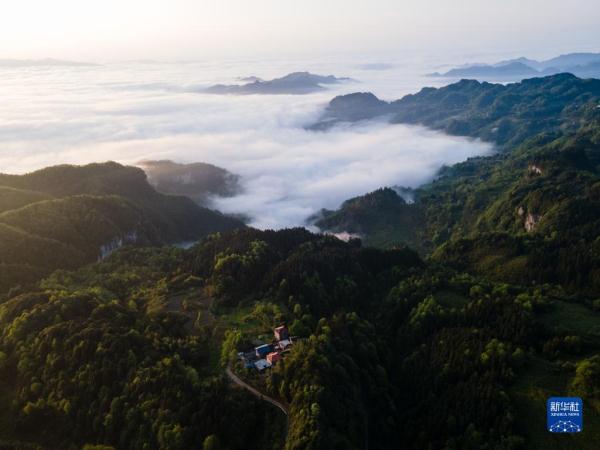 重庆金佛山：云绕山峦春色美