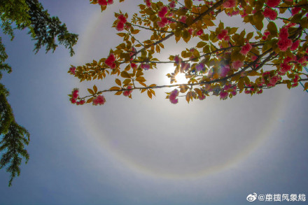 快抬头！甘肃陇南上空现绝美日晕
