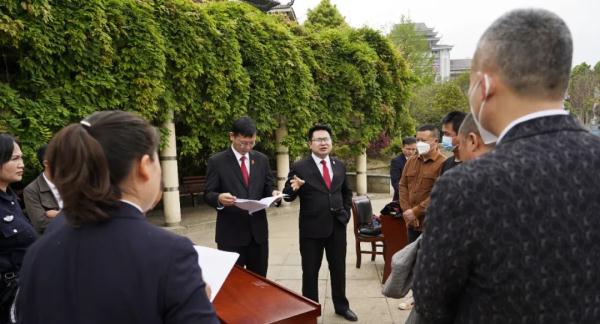 毁伤2600岁“古楠木王”，11人被判刑！