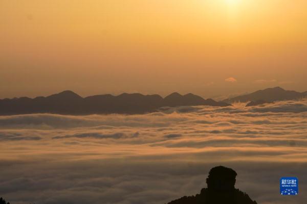 重庆金佛山：云绕山峦春色美