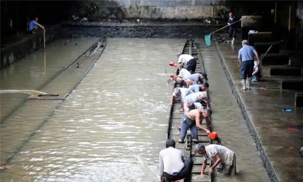即将回归!广州各大龙舟队申请出战 即将回归!广州各大龙舟队申请出战