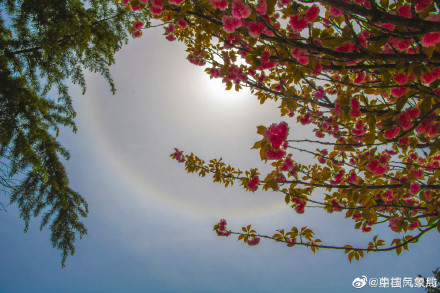 快抬头！甘肃陇南上空现绝美日晕